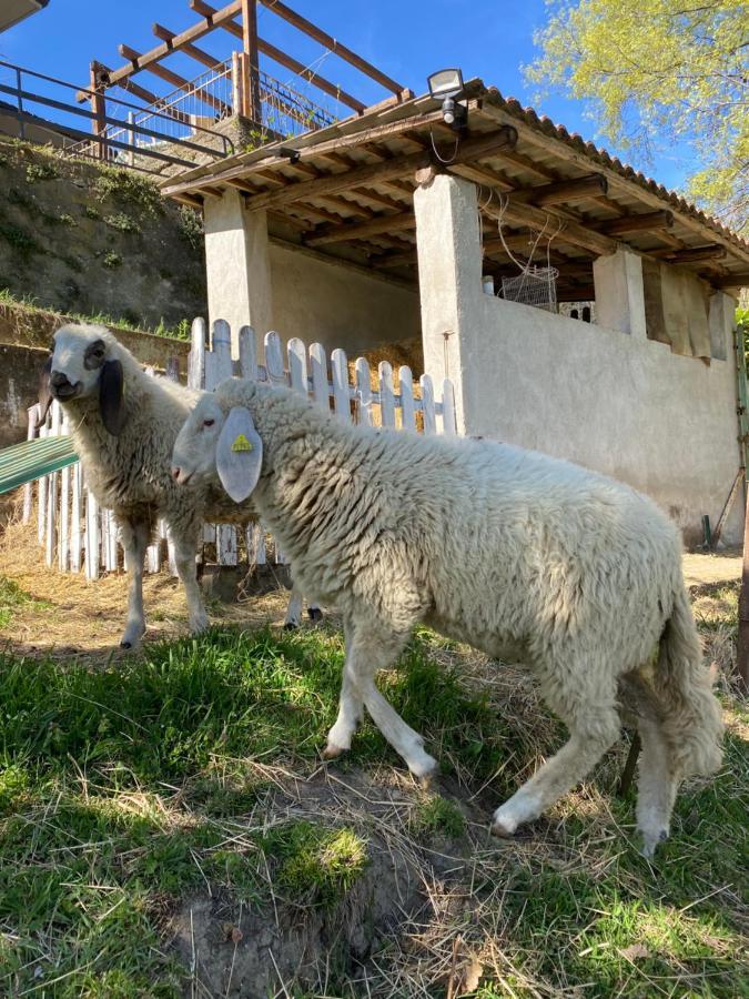 Casa privata Come una volta Brozolo Esterno foto